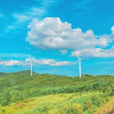 我的后宫新时代内购破解版(暂未上线)v1.0 安卓版